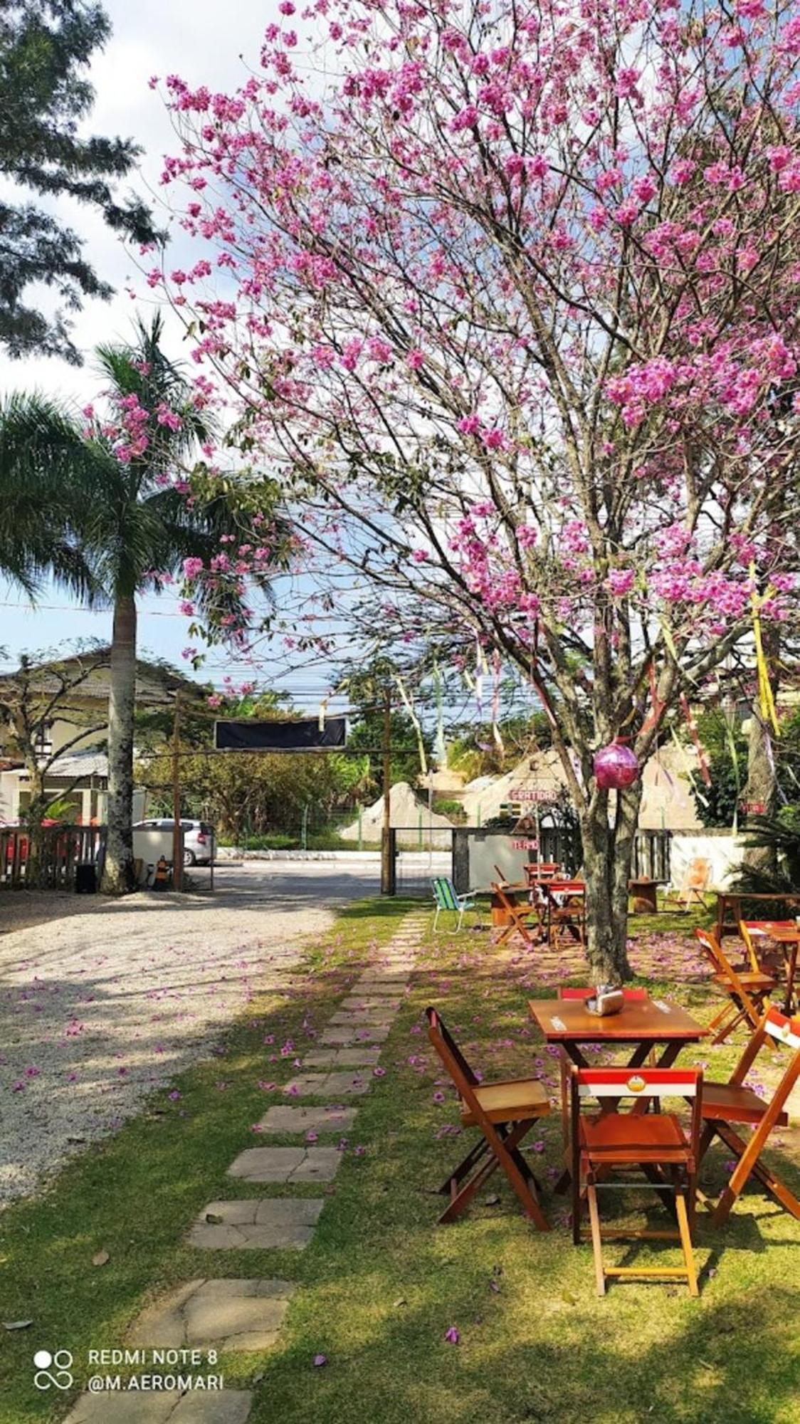Nomades Vibe Da Ilha - Adventure Hostels & Coworking Florianópolis Eksteriør billede